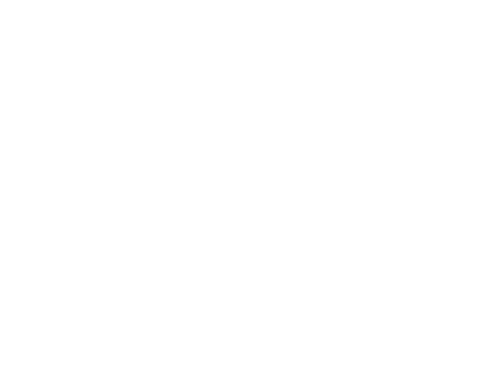 ken s tree service tree service and shrub experts northvale nj kens care ken s tree service tree service and shrub experts northvale nj kens care